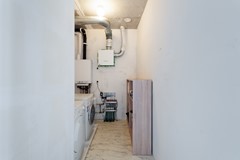 Lisdodde 151-51.jpg